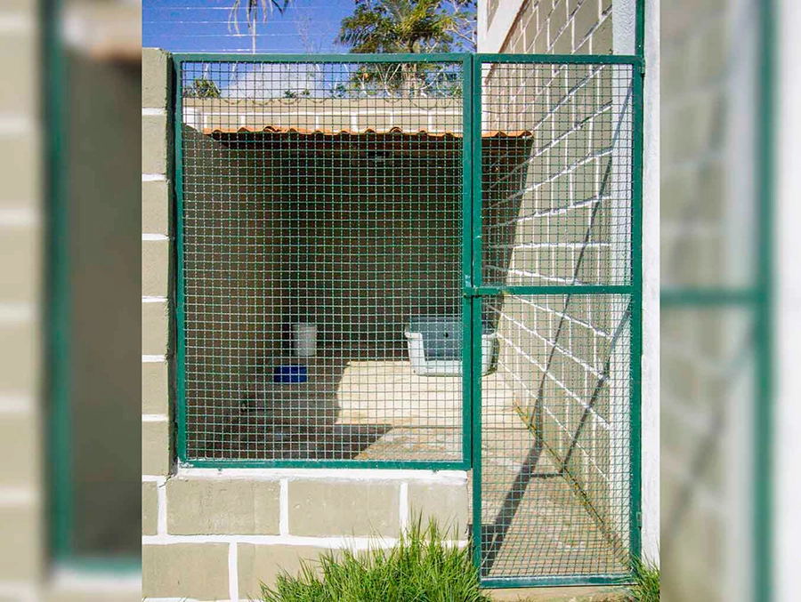 Imagem de catalogo 1